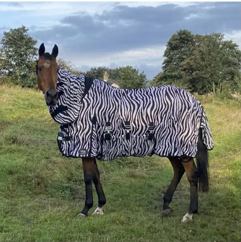 Firefoot Zebra Fly Rug