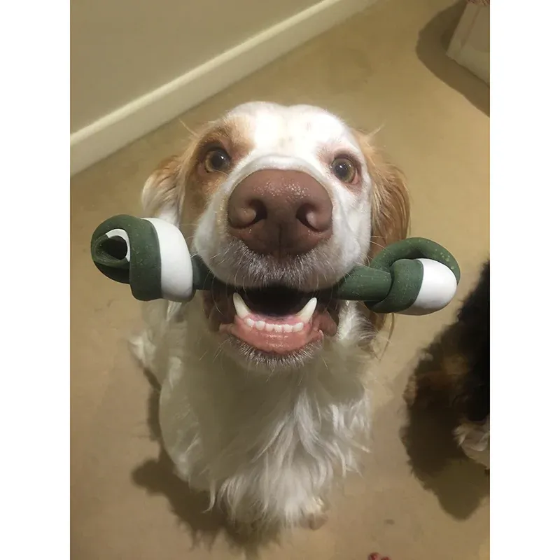 Miro and Makauri Vegan Dog Chews - Maks Patch Knotted Bones-2