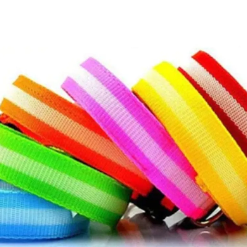 Bunty LED Flashing Collar Orange