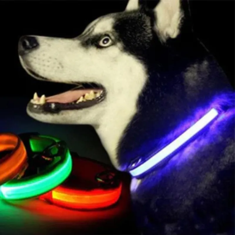 Bunty LED Flashing Collar Pink-2