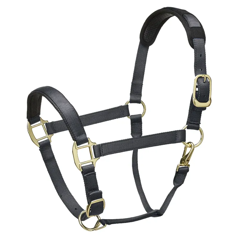 Legacy Premium Headcollar Grey