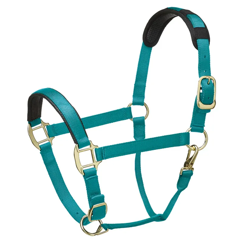 Legacy Premium Headcollar Mint