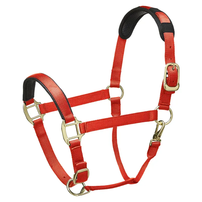 Legacy Premium Headcollar Orange Pony