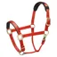 Legacy Premium Headcollar Orange Pony