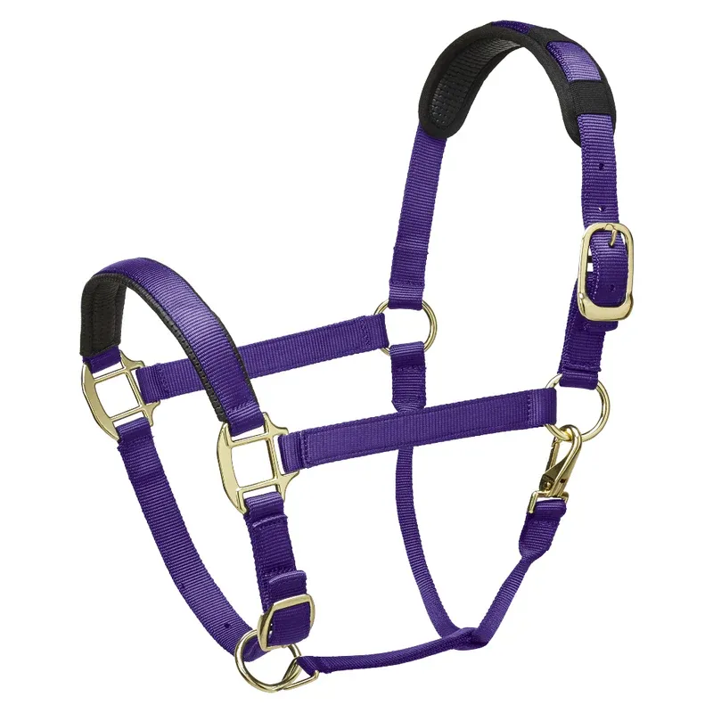 Legacy Premium Headcollar Purple