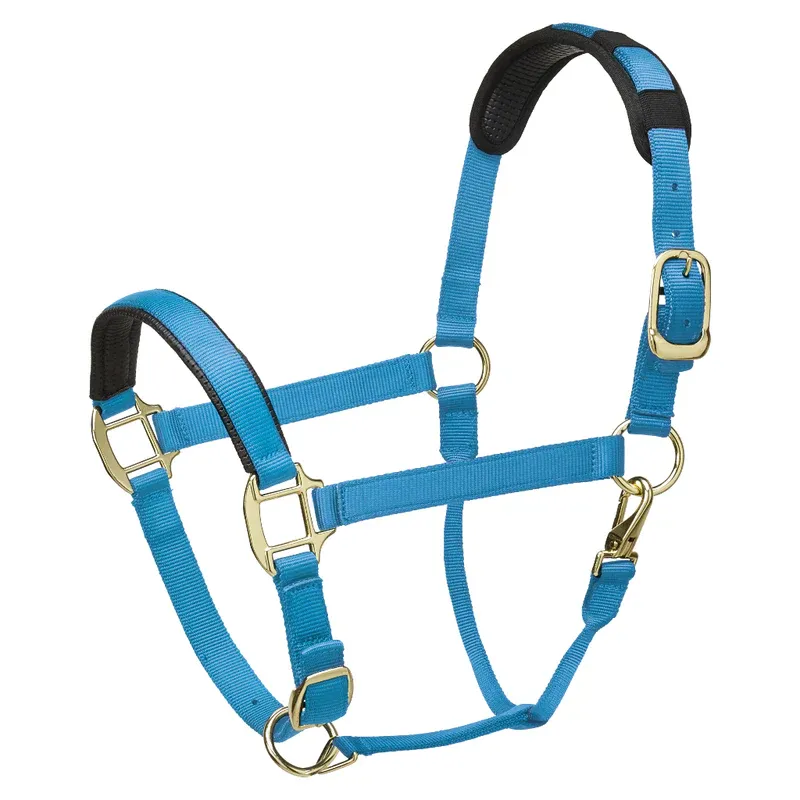 Legacy Premium Headcollar Turquoise Pony