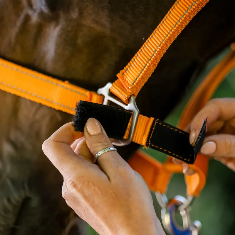Cameo Fieldsafe Headcollar Orange-1