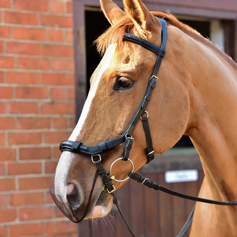 Net Relief Muzzle Net For Micklem and reg Bridles - - Cob/ Horse Black cob/horse