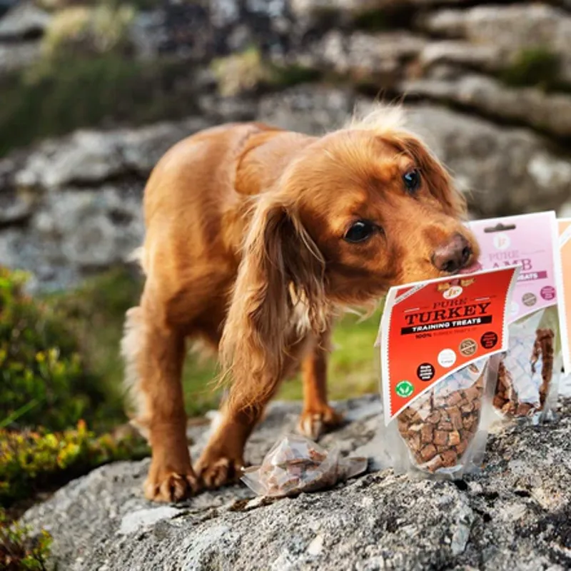 JR Pet Products Pure Turkey Training Treats 85g-2
