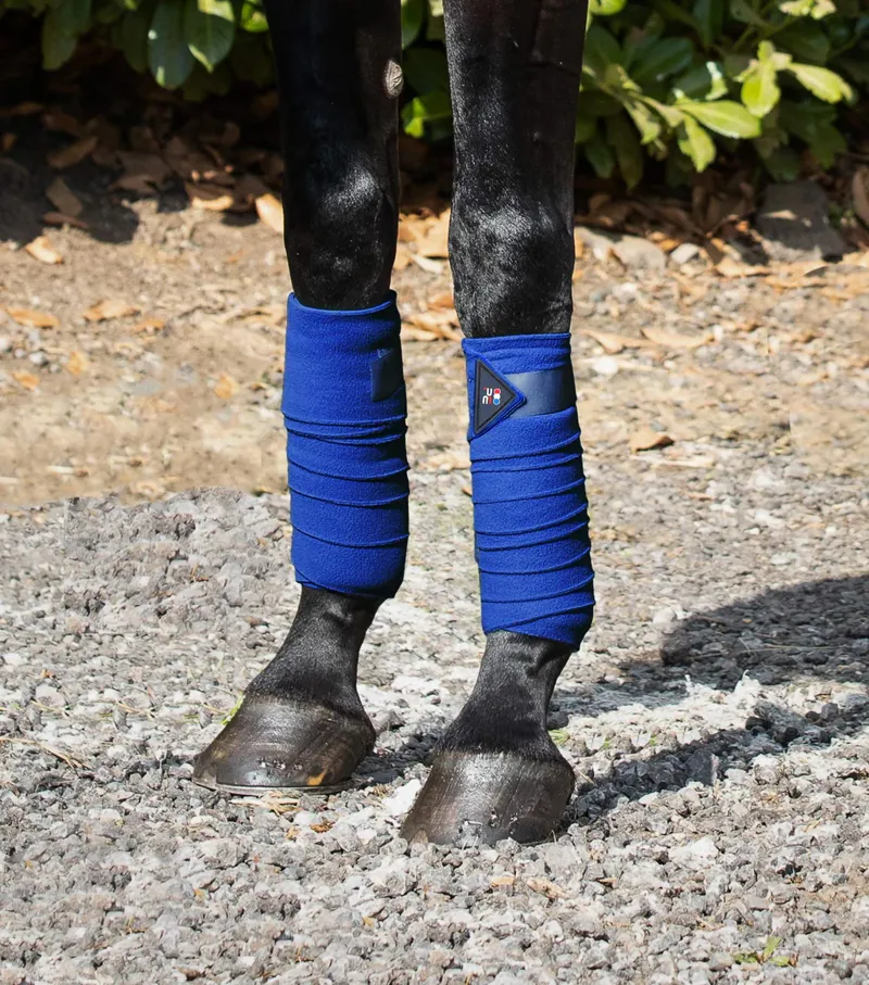 Premier Equine Polo bandages 4 Pack Royal Blue-1