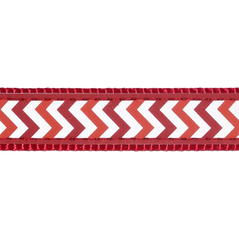 Red Dingo Dog Collar Reflective Ziggy Red-1