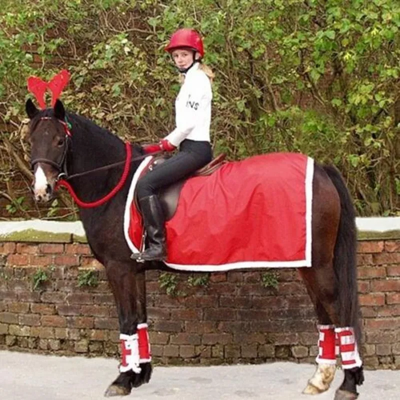 ShowQuest Christmas Dress Up Exercise Sheet One Size