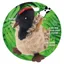 Wild Hunter Catnip Cat Toy Wild Turkey