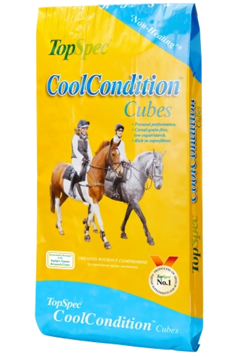TopSpec CoolCondition Cubes 20kg