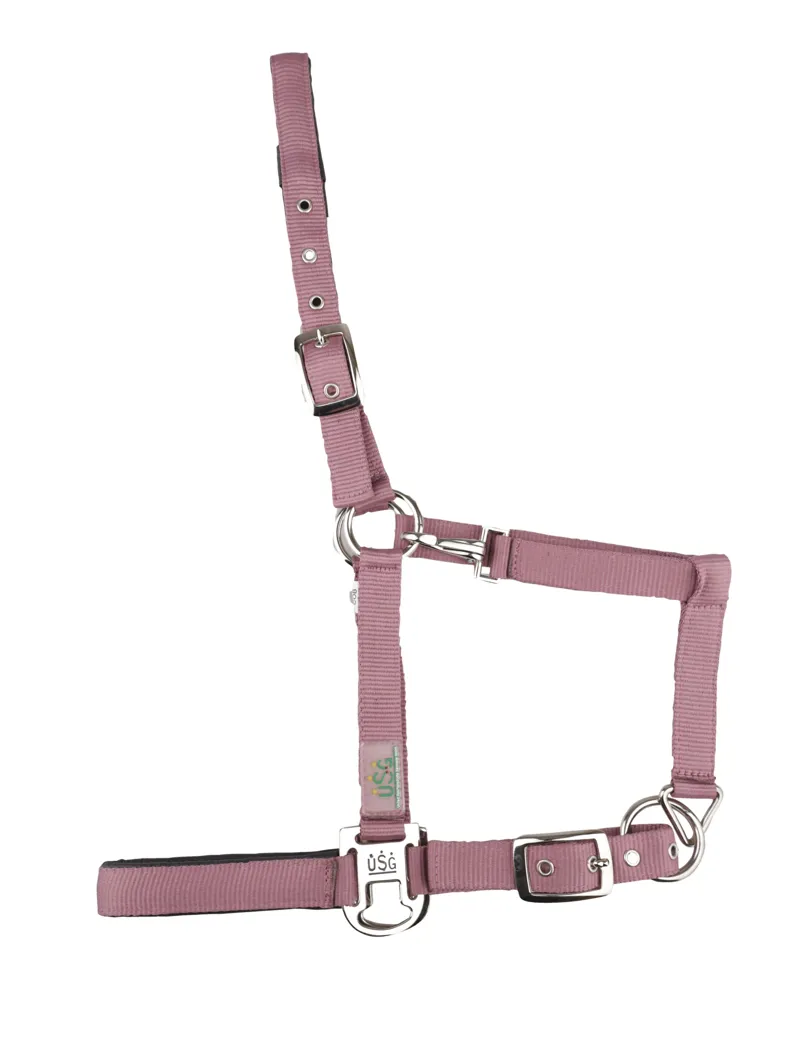 USG Everyday Headcollar Paisley Rose