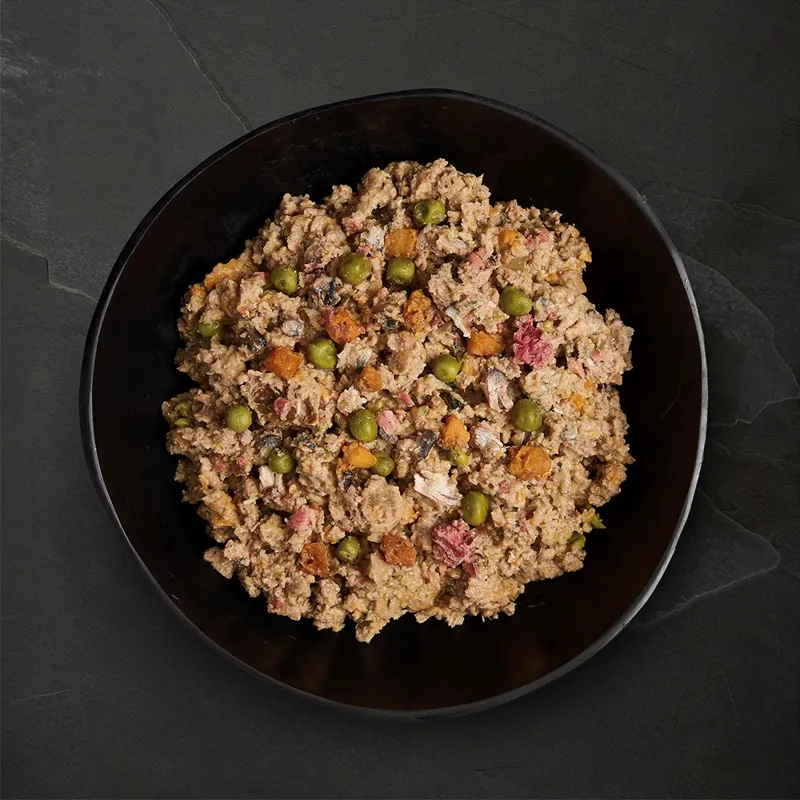 Canagan Salmon and Herring Supper Wet Dog Food 400g-2