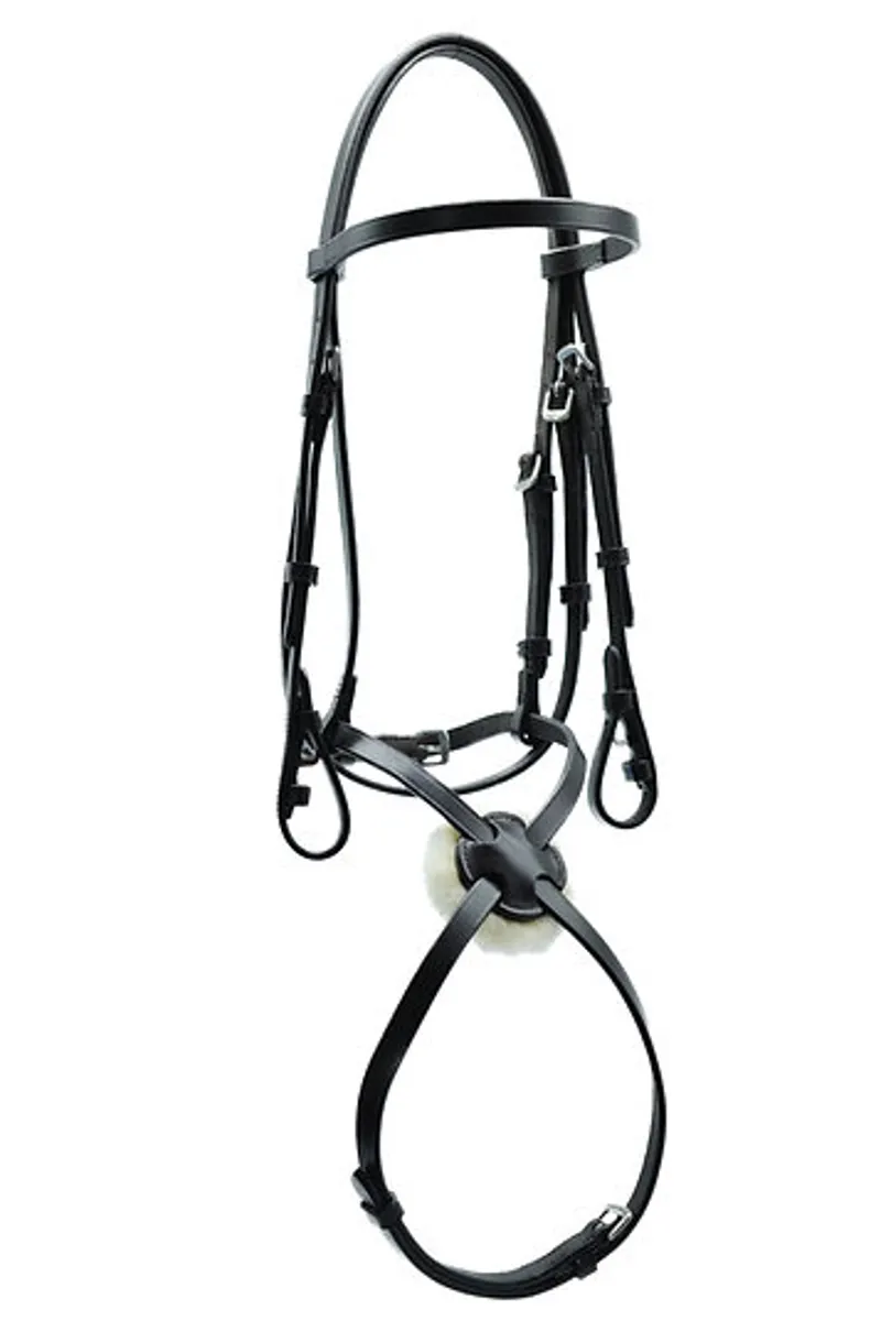 Ascot Grackle Bridle Brown