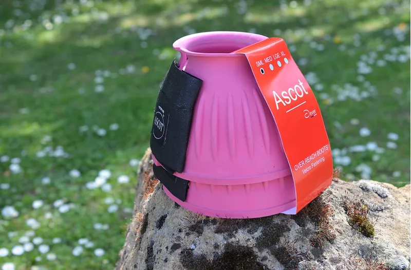 Ascot Over Reach Boots Pink-1