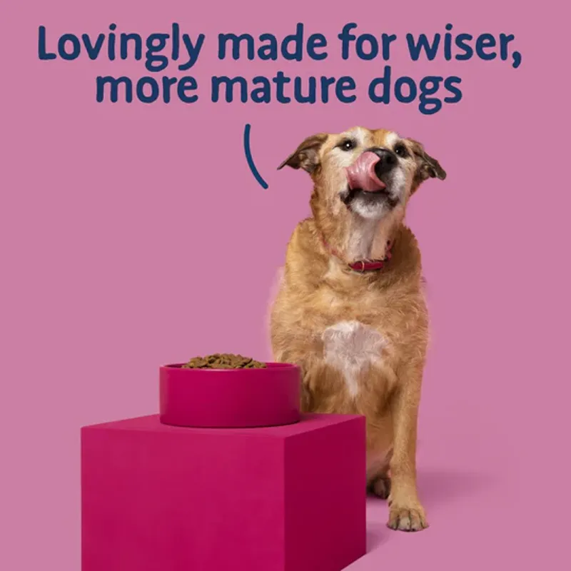 Barking Heads Big Foot Golden Years Dry Dog Food Chicken 12kg-6