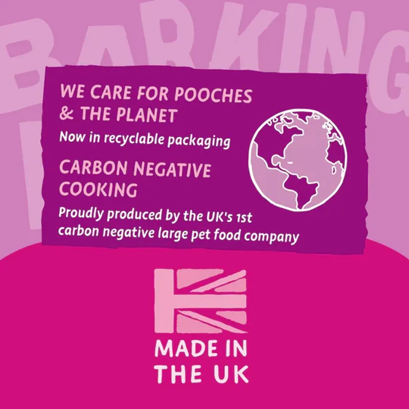 Barking Heads Big Foot Golden Years Dry Dog Food Chicken 12kg-7