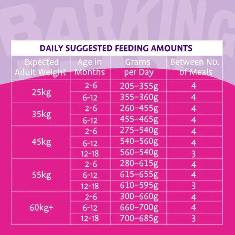 Barking Heads  Big Foot Puppy Days Turkey Dry Dog Food-6