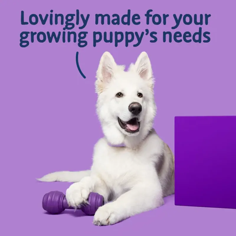 Barking Heads  Big Foot Puppy Days Turkey Dry Dog Food-5