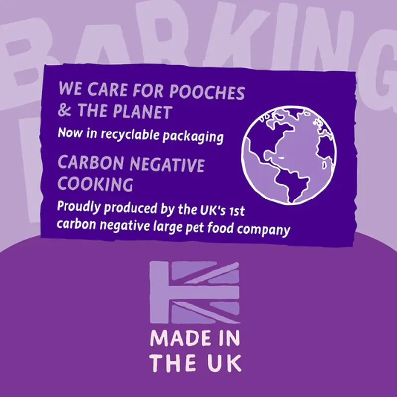 Barking Heads  Big Foot Puppy Days Turkey Dry Dog Food-4