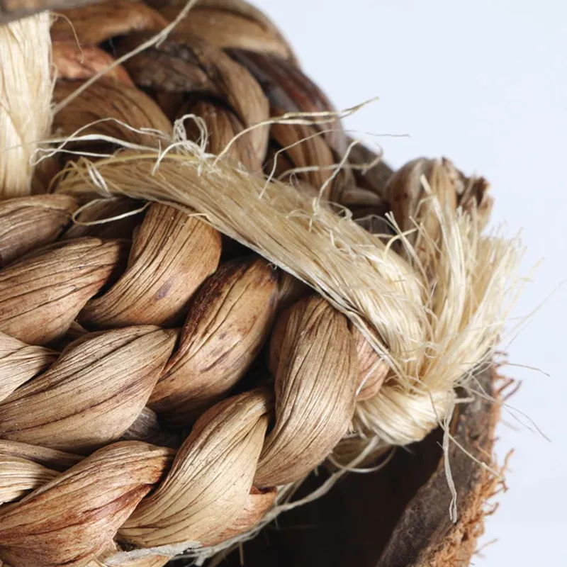 Big Beaks Big Coco Fun Forager Parrot Toy-2