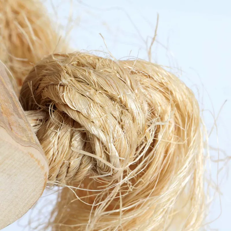 Big Beaks Big Coco Fun Forager Parrot Toy-3