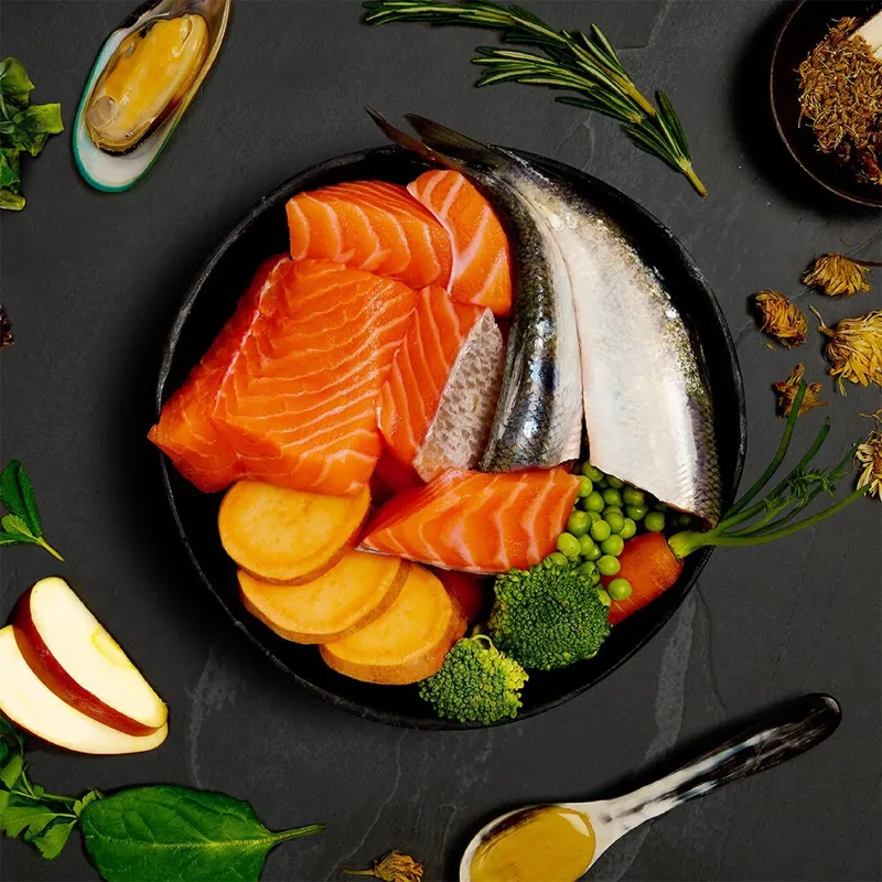 Canagan Salmon and Herring Supper Wet Dog Food 400g-1