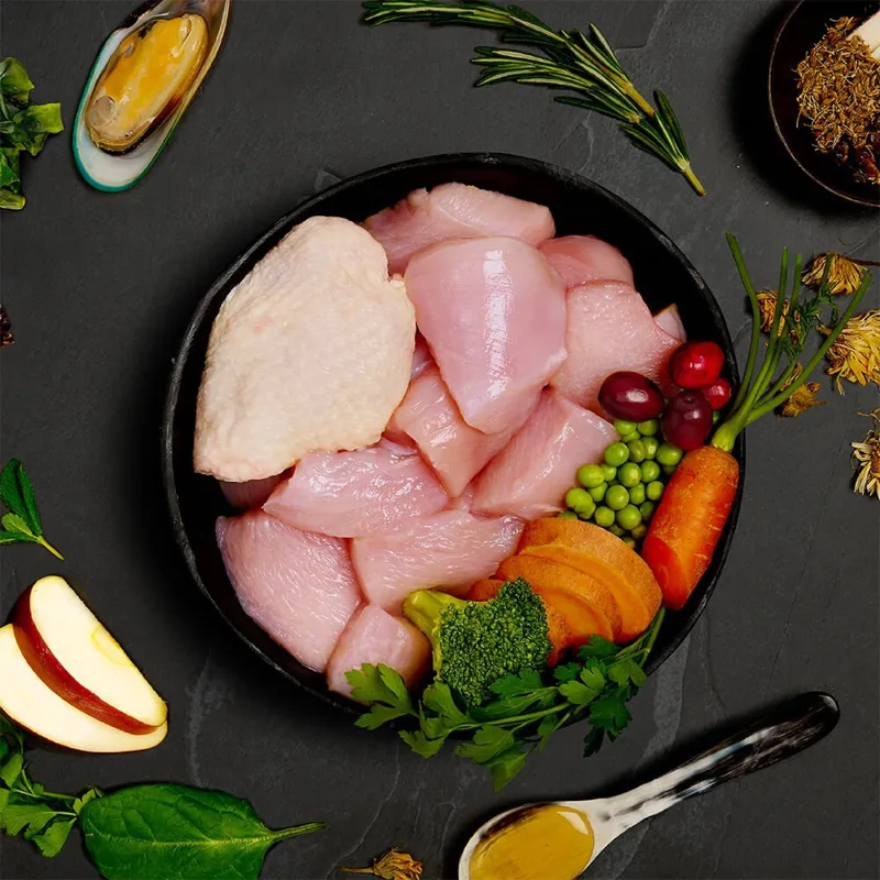 Canagan Senior Feast Wet Dog Food 400g-1