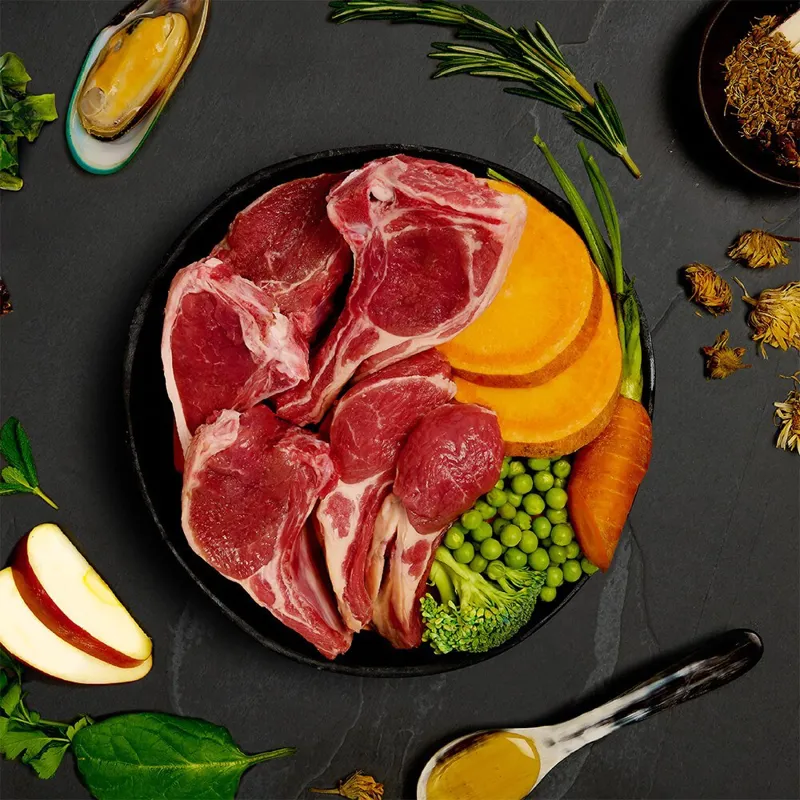 Canagan Shepherds Pie Wet Dog Food 400g-1