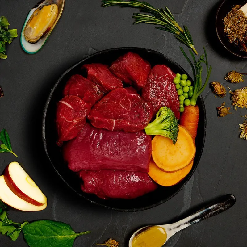 Canagan Venison and Wild Boar Stew Wet Dog Food 400g-1