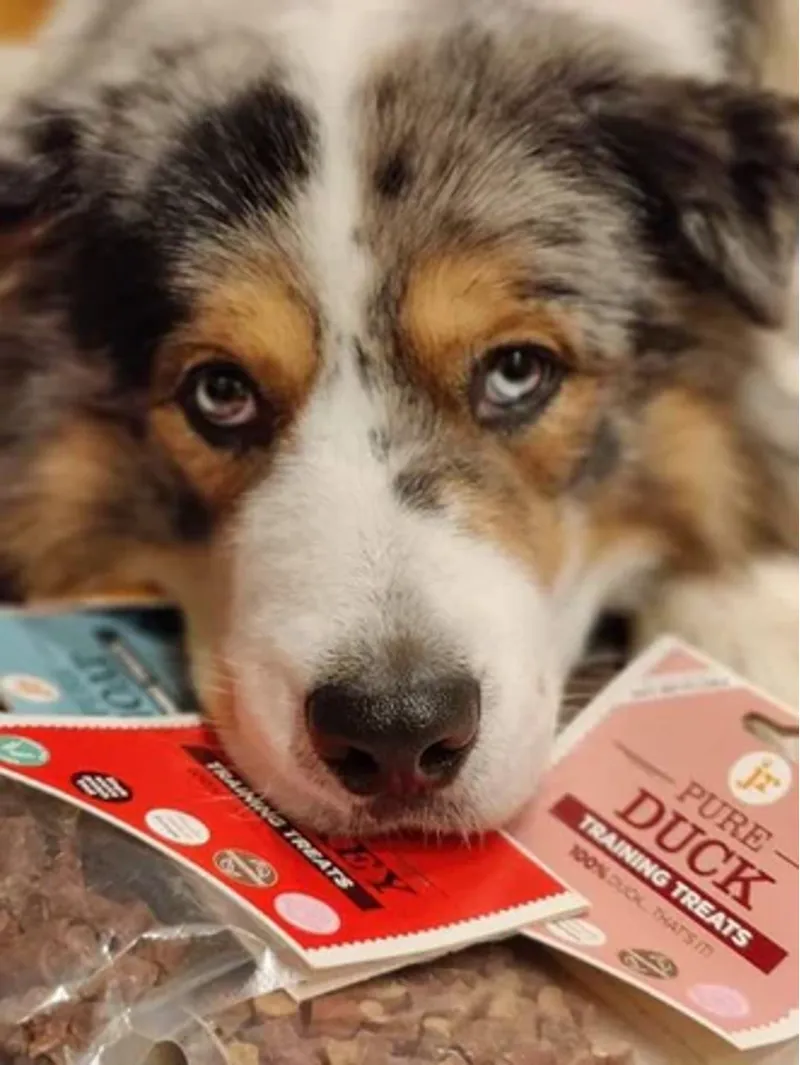 JR Pet Products Pure Turkey Training Treats 85g-3