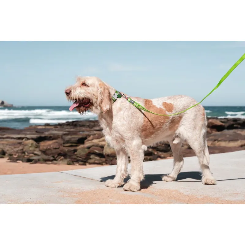 Red Dingo Dog Lead Flanno Lime Green-2