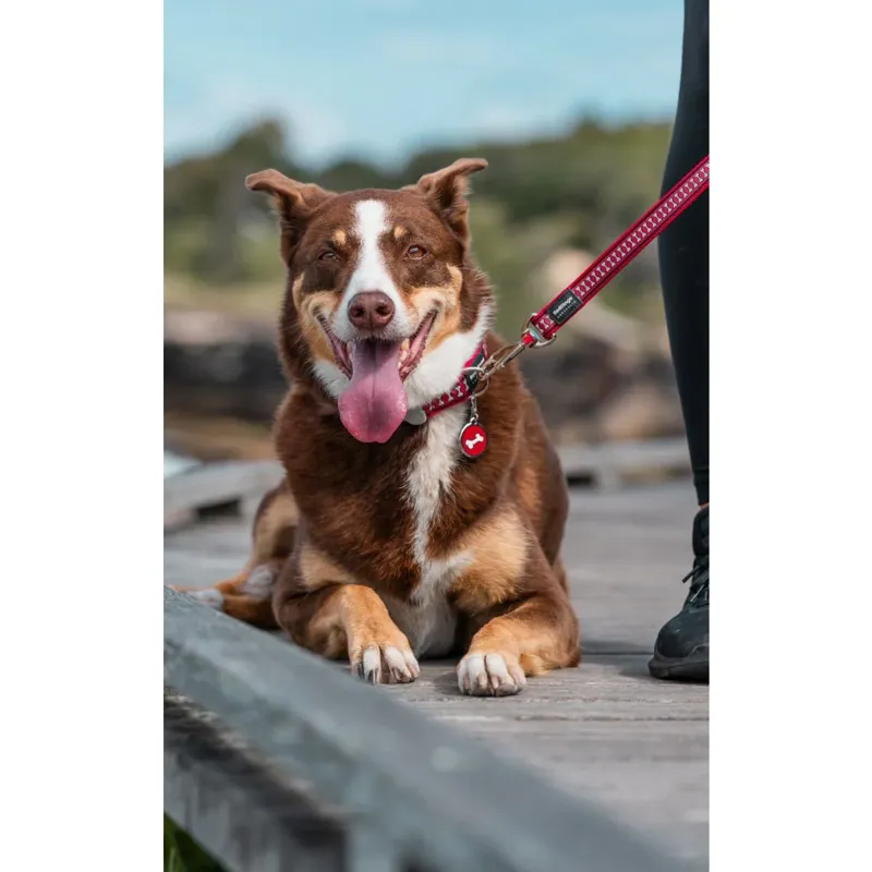 Red Dingo Dog Lead Reflective Bones Red-2