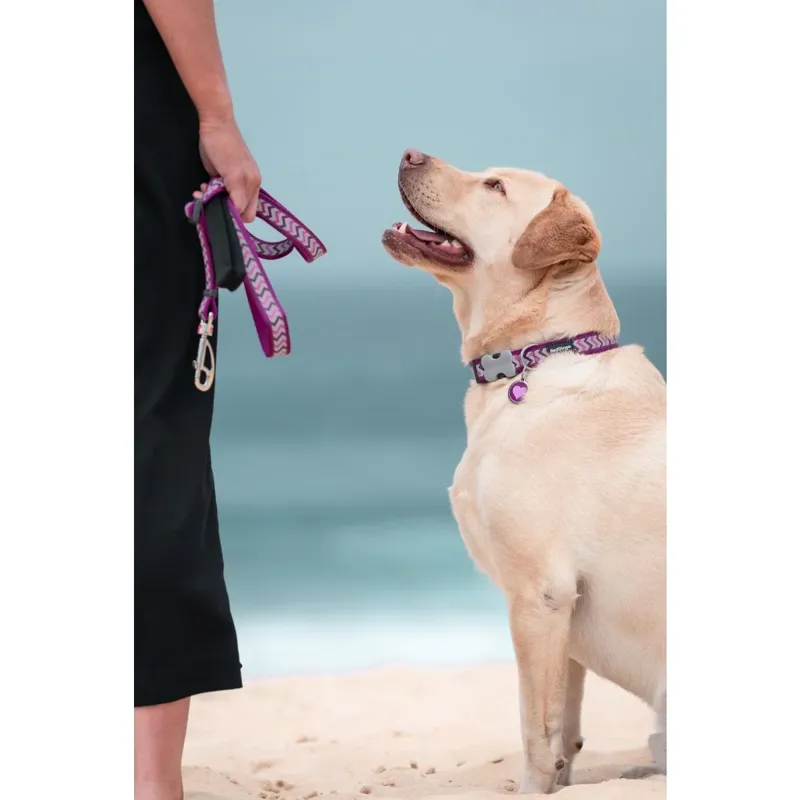 Red Dingo Dog Collar Reflective Ziggy Purple Extra Small only-2