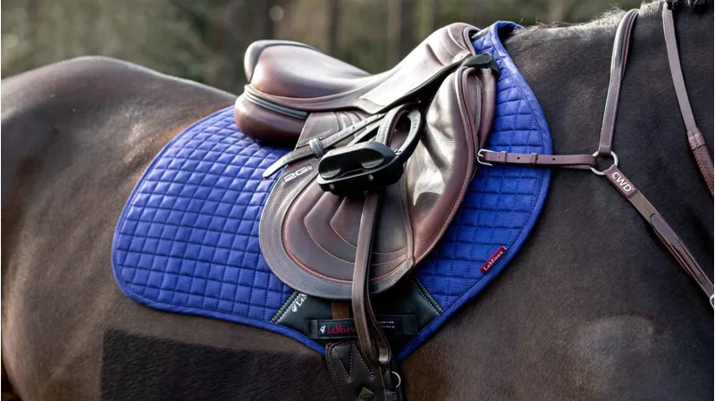 LeMieux Suede Close Contact Pad Ink Blue-2