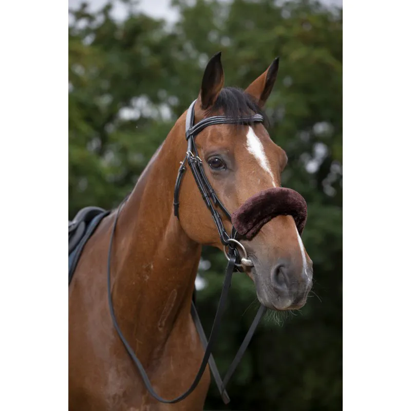Equitheme Teddy Noseband SleeveR Brown