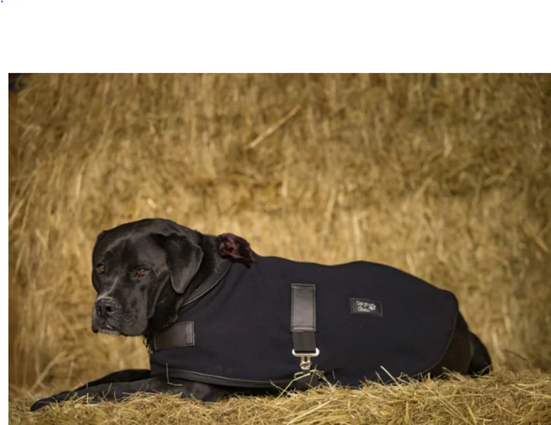 Diego and Louna Teddy Dog Rug Black