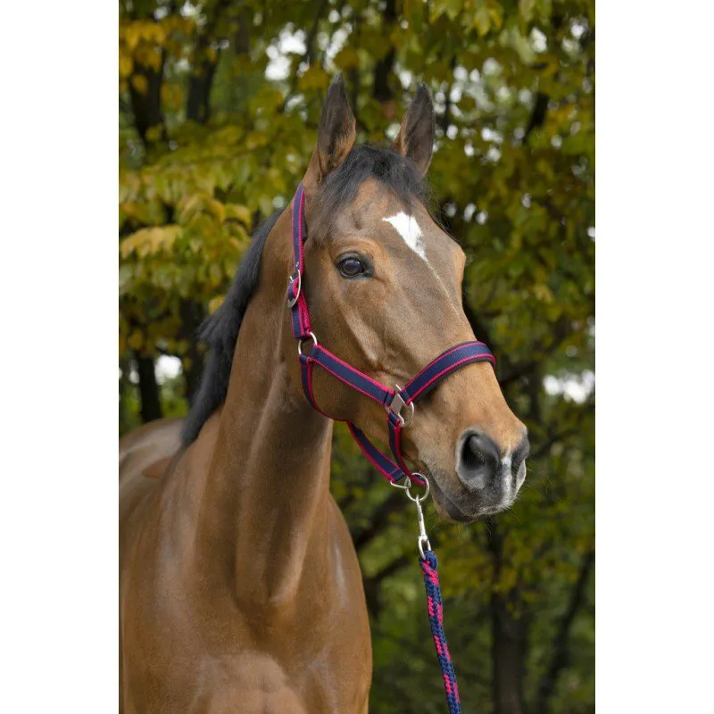 Equitheme SATINA Headcollar and Lead Rope Navy Sky
