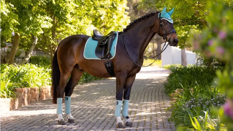 LeMieux Suede Dressage Square Lagoon-3