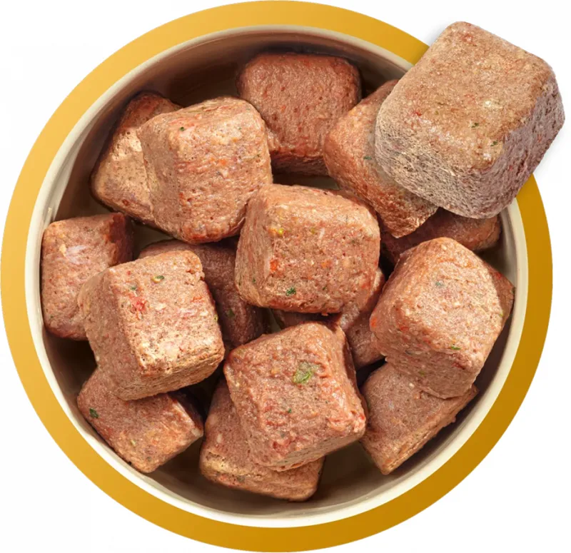 Natures Menu 80/20 Chicken With Superfoods Frozen Dog Food-2