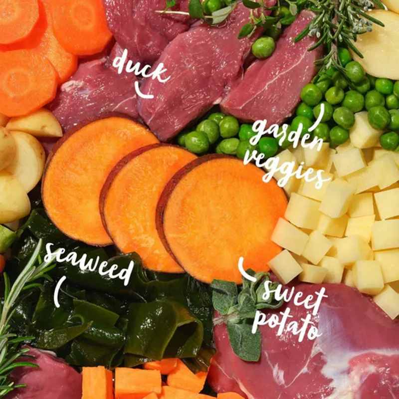 Barking Heads Adult All Hounder Dry Dog Food Duck 12kg-1