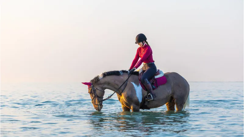 LeMieux Suede GP Pad Mulberry-2