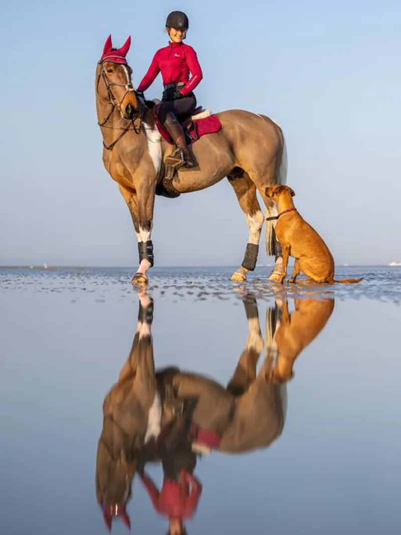 LeMieux Suede GP Pad Mulberry-1