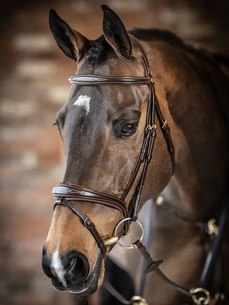 LeMiuex Kudos Competition Flash Bridle Havana