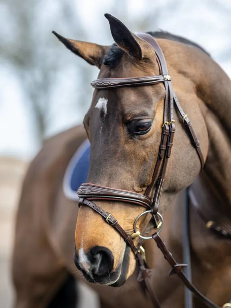 LeMiuex Kudos Competition Flash Bridle Havana-1