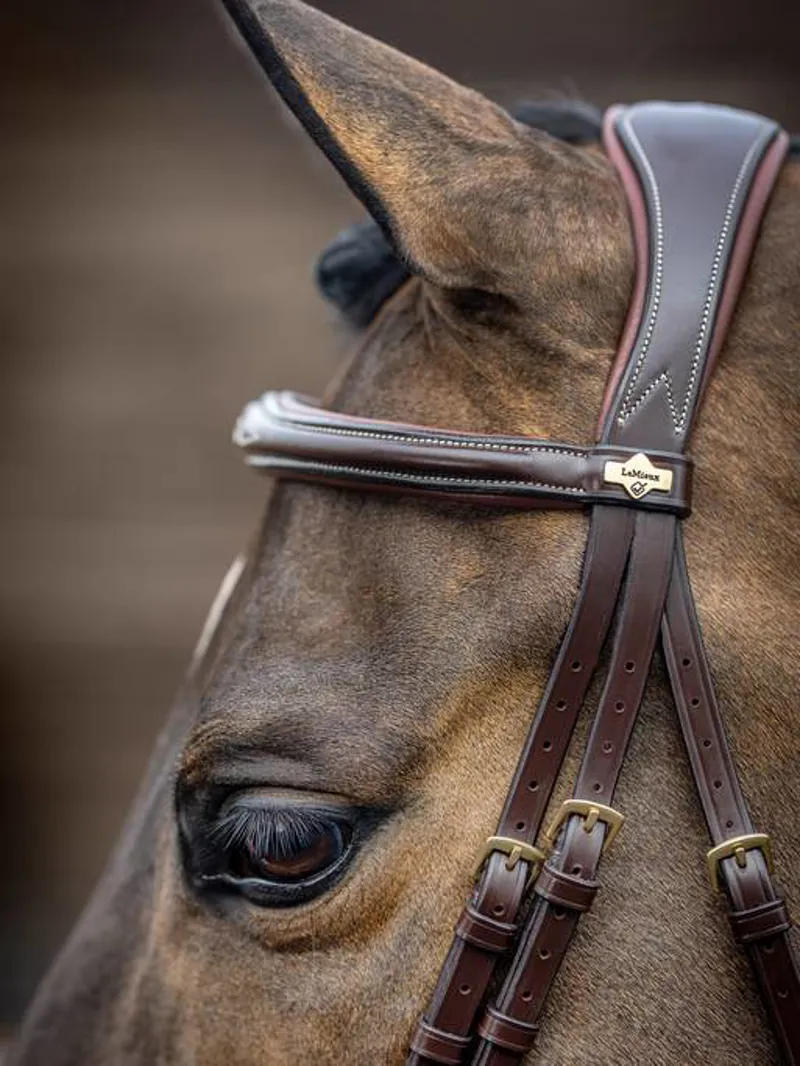 LeMiuex Kudos Competition Flash Bridle Havana-2