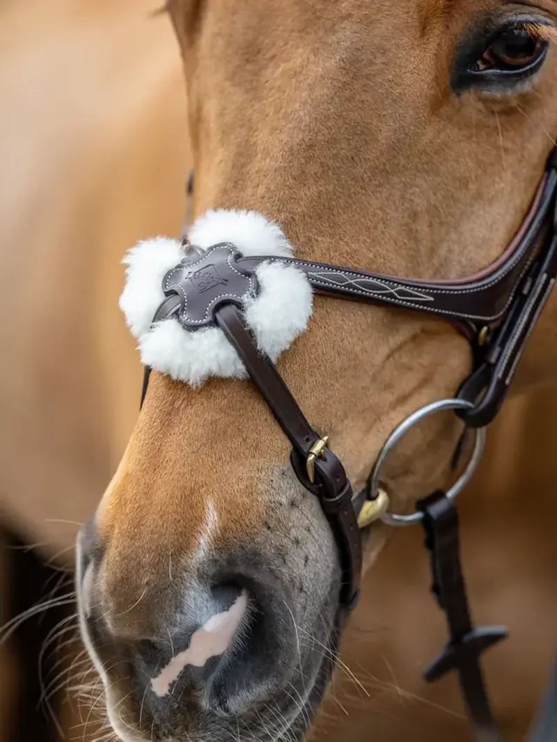 Kudos Grackle Bridle Havana-2